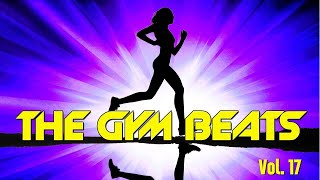 THE GYM BEATS Vol17  NONSTOPMEGAMIX BEST WORKOUT MUSICFITNESSMOTIVATIONSPORTSAEROBICCARDIO [upl. by Elletnahc40]