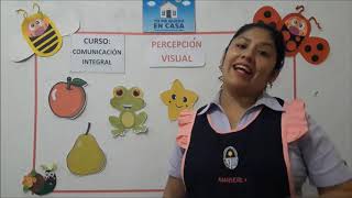 PERCEPCIÓN VISUAL para niños de 3 años nivel inicial [upl. by Orna]