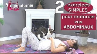 YogAnatomie  2 exercices SIMPLES pour renforcer vos ABDOMINAUX  60365 [upl. by Fuld]