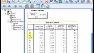 reliability test using SPSS [upl. by Enaelem319]