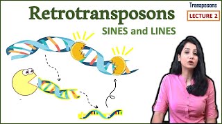 Retrotransposons II LINES SINES II Transposons Part 2 [upl. by Rebekkah24]