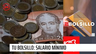 Tu Bolsillo Salario mínimo llegaría a los 500 mil pesos en julio de 2024  24 Horas TVN Chile [upl. by Nylatsirhc]