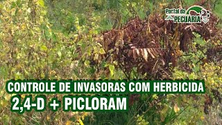 Controle de invasoras com herbicida  24D  Picloram [upl. by Eibrik]