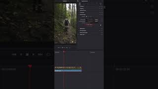 Как управлять скоростью видео в DaVinci Resolve davinciresolve tutorial editing [upl. by Livingston890]