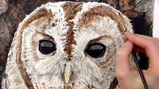 How to paint watercolor a realistic owl eye step by step class [upl. by Apollus]