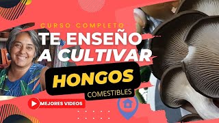 14👩‍🌾🍄CULTIVAR HONGOS COMESTIBLES PULVERIZAR crear un ambiente húmedo a bajo costo Cámara 2 [upl. by Enobe]