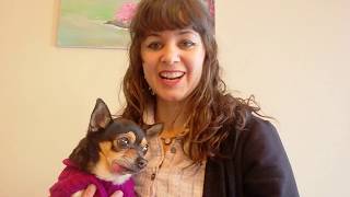 Pet Sitting Tips and Tricks How to do a Pet Sitting Meet and Greet on Rover [upl. by Nira]