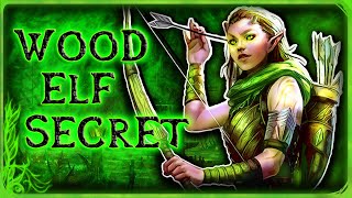 Skyrim  The Wood Elves Are Not What They Seem  Bosmer Hidden Power  Elder Scrolls Lore [upl. by Aerdno795]