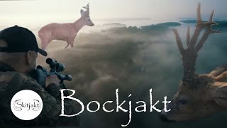 Bockjakt 2022  Medaljbockar i dimman Roe Deer hunting 2022  Medal Deers in the fog [upl. by Penni]