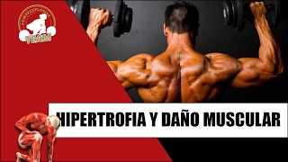 HIPERTROFIA Y DAÑO MUSCULAR ¿ENTRENAS PARA ROMPER FIBRAS [upl. by Stoller]