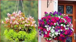 Flower Hanging Plants Design homedecor garderning [upl. by Russia454]