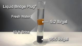 7 Liquid Bridge Plug® Float [upl. by Nwadahs]