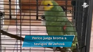 Perico se hace viral en TikTok burla a testigos de Jehová y los hace esperar por 30 minutos [upl. by Rufena]