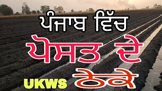 ਖਸਖਸ ਦੀ ਖੇਤੀ ਦਾ ਵਿਰੋਧ ਕਰਨ ਵਾਲੇ ਸੁਣ ਲੈਣ [upl. by Three]