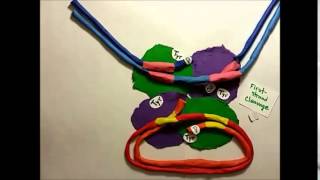 Site Specific Recombination Claymation [upl. by Tish]