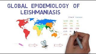 The Global Epidemiology of Leishmaniasis [upl. by Ahsina]