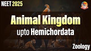 Animal Kingdom  upto Hemichordata  NEET Zoology  srichaitanyagosala [upl. by Anson]