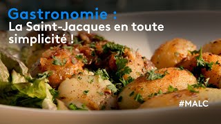 Gastronomie  la SaintJacques en tout simplicité [upl. by Kippie572]