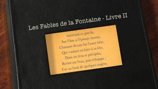 Lâne chargé déponges et lâne chargé de sel  Fable de la Fontaine livre audio [upl. by Eixela]