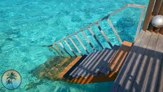 Villa NAUTICA Paradise Island Resort Maldives🔥  Water Villa with Whirlpool  Room TOUR HD [upl. by Dyke]