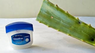 Vaseline and Aloe Vera Gel Face Care Beauty Tips At Home  Simple Skin Care Beauty Life Hacks [upl. by Hsivat]