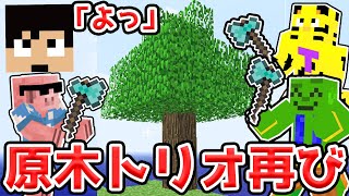 【マイクラ】カズクラワールド、原木枯渇の危機…原木トリオ動きます。【カズクラ2020コラボきおはら島パート122】【帰宅部トリオ・マイクラ・マインクラフト・まいくら・Minecraft】 [upl. by Ilona]