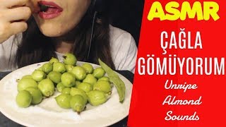 Türkçe ASMR  Çağla Gömüyorum  Unripe Almond ASMR 설 익은 아몬드 [upl. by Gensmer]