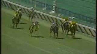 Meadow Star Breeders Cup Champion Schuylerville 1991 Clip [upl. by Kcirderf]