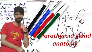 parathyroid gland anatomy  parathyroid gland and physiology  waheedandkamranlectures1774 [upl. by Fancy28]