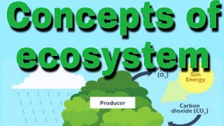 Concepts of ecosystem Definition structure function BSc Final paper III unit II [upl. by Yeslaehc]