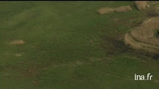 PaysBas  polders dans la région du Coeur Vert [upl. by Orly398]