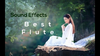 Best Flute Ringtone  Sound Effects [upl. by Edroi]