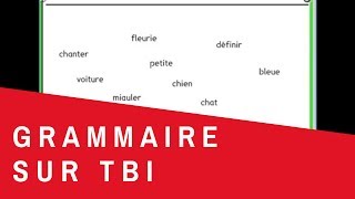 15 Exercice de grammaire sur tableau interactif [upl. by Bish293]