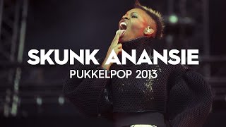 Skunk Anansie  Weak Live at Pukkelpop 2013 [upl. by Eiramlirpa391]