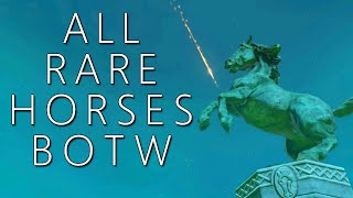 All Rare Horses amp Where to Find Them BOTW [upl. by Ddot]