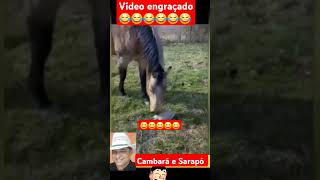 Vídeo engraçado cambará e Sarapó causos humor piadas [upl. by Layne]