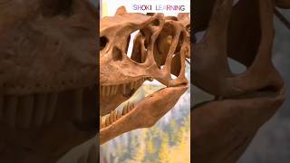 10 MindBlowing Paleontology Facts Revealed [upl. by Odelia934]