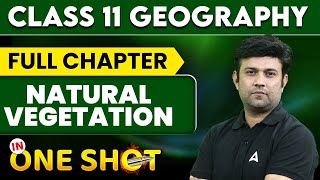 Natural Vegetation  Full Chapter Explanation  Class 11 Geography Chapter 5  by Yash Sir [upl. by Godard750]