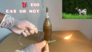 Gobar gas project 🐄⛽️ how to make gobar gas at home [upl. by Maynard406]