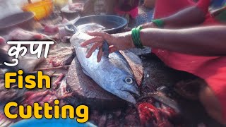 Kupa Fish Cutting at Sassoon Dock Fish Auction Mumbai  YouNick Marathi [upl. by Mail]