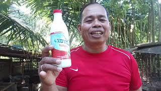 Gamot sa sipon ng manok  Vitamins for chickens [upl. by Asus291]