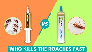 Advion Vs Combat Cockroach Gel Bait Who Kills The Roaches Fast [upl. by Aix]