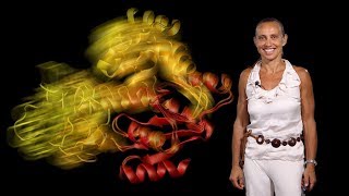 Dorothee Kern Brandeis HHMI 1 Visualizing Protein Dynamics [upl. by Ardnikat]