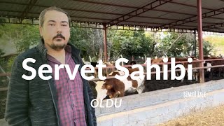 Hayvancılığa Yeni Başladı  Nasıl Servet sahibi oldu hayvancılık tarım inek [upl. by Dionis151]