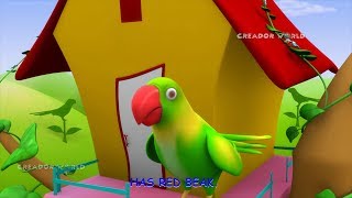 Parrot Rhymes  Alphabet Song 3d nursery rhymes for kids  P for parrot songs [upl. by Hollingsworth799]