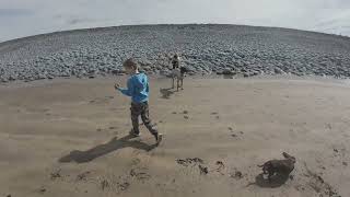 Epic Day at Westward Ho Beach 🌊🏖️ North Devon Fun [upl. by Obrien]