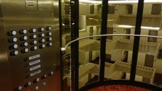 AWESOME amp FAST Otis HighSpeed Elevators at Hyatt Regency in Atlanta GA [upl. by Obellia]