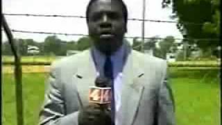 Bug Flies Into Reporters Mouth [upl. by Aland]