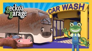 Muddy Trucks in the Car Wash  Geckos Garage  Truck Cartoons For Children [upl. by Ledif]