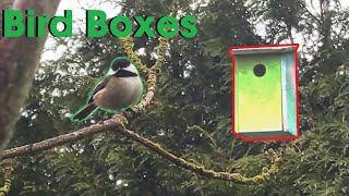 Why We Build Bird Boxes Education Programs [upl. by Hendry]